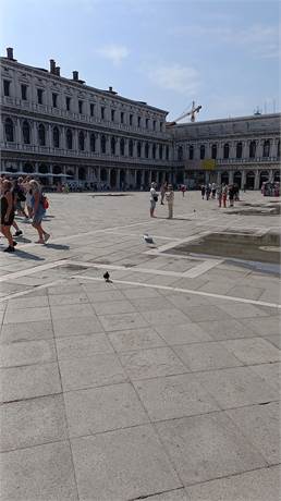 Dettagli 