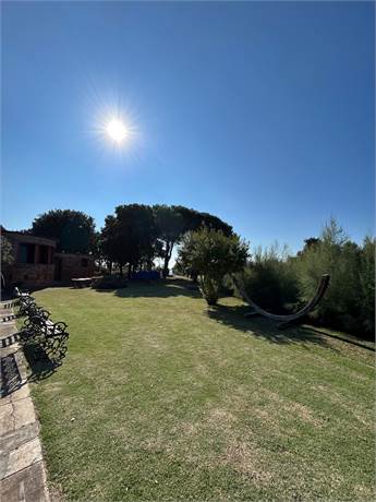 vista